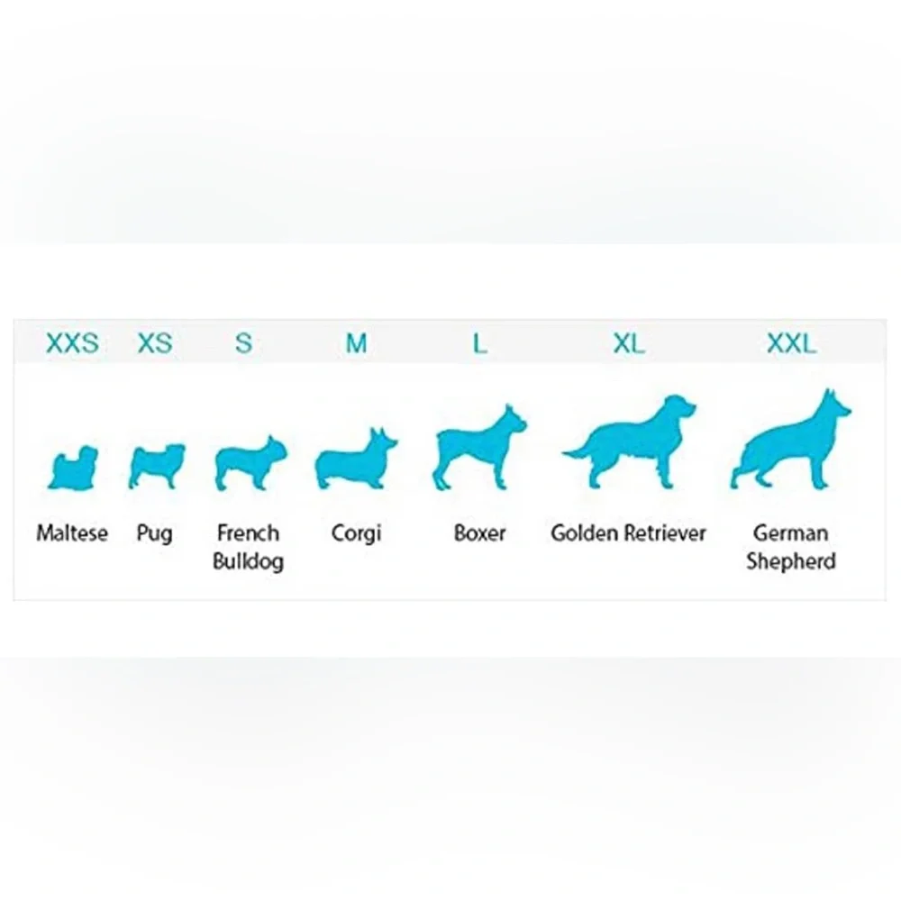 Dog Quality nwt dog